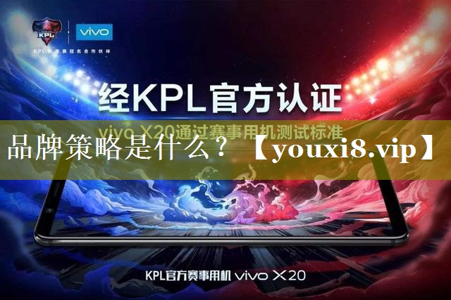 品牌策略是什么？