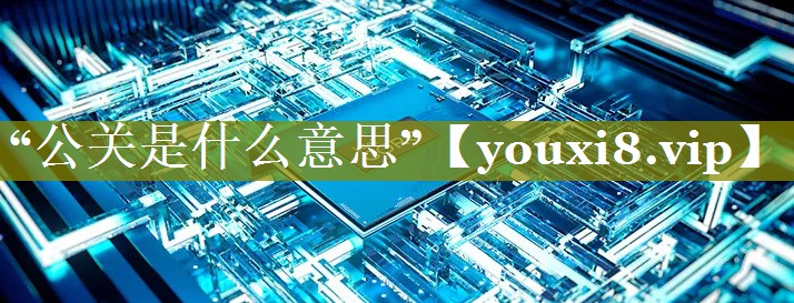 “公关是什么意思”